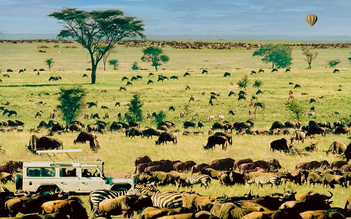 How Many Days Do You Need in Serengeti?