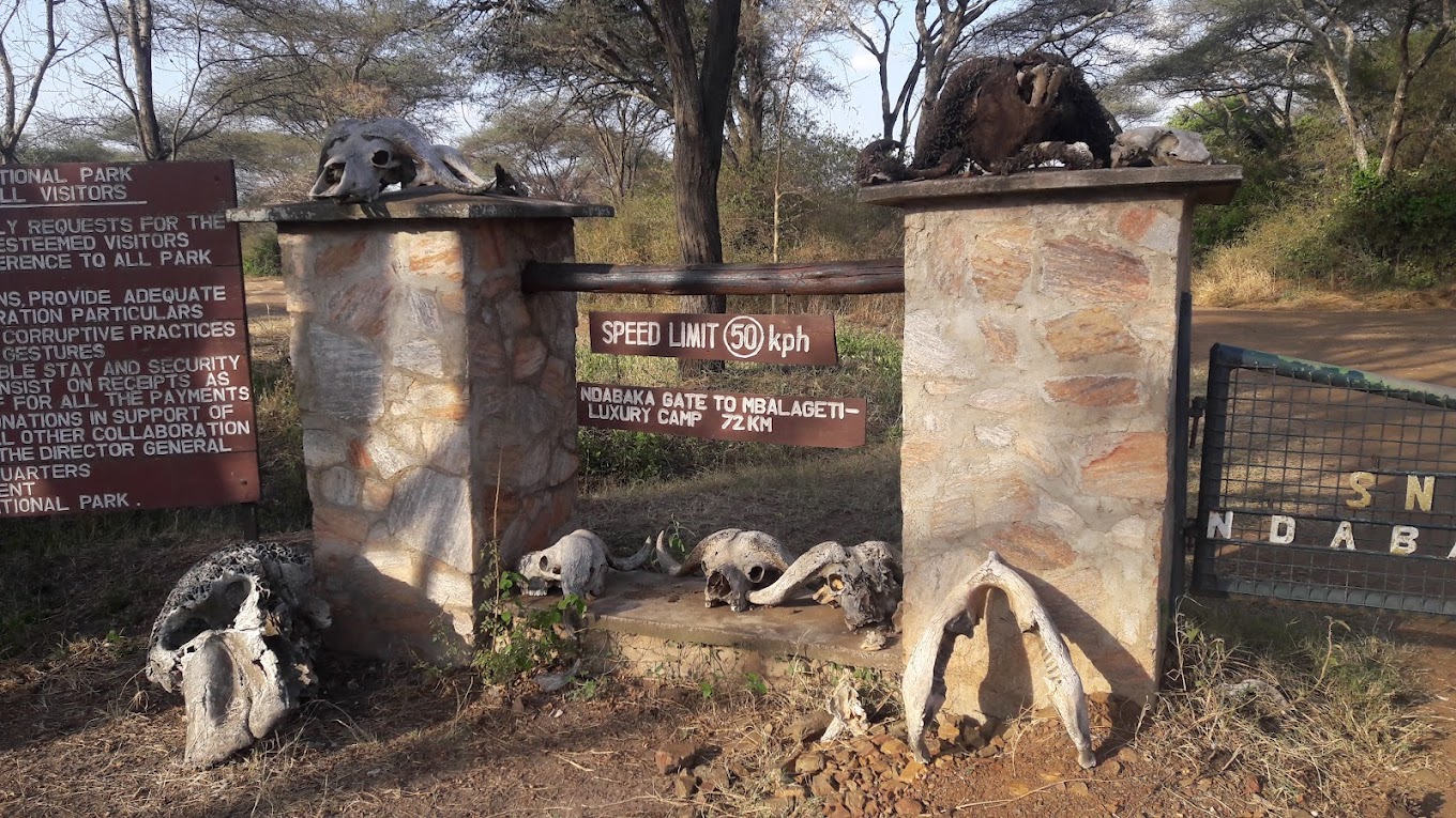 Serengeti Gates Guide: Naabi, Ndabaka, Ikoma, Klein's and More