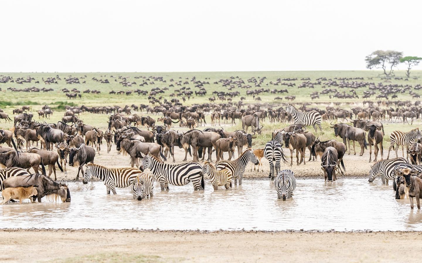 Serengeti National Park History