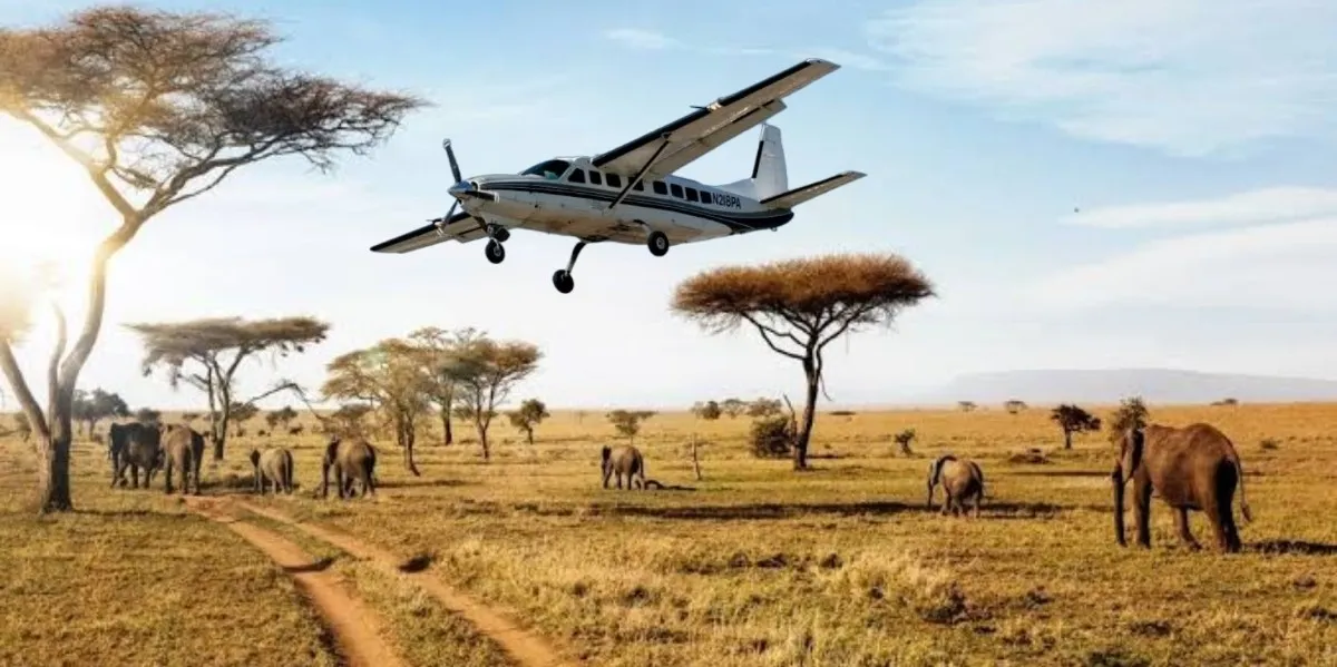Serengeti Flight Schedules & Airstrips